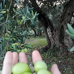 Le Di S. Andrea Buccheri