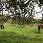 Le Di S. Andrea Buccheri