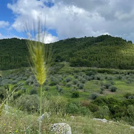 בית חווה Le Di S. Andrea *
