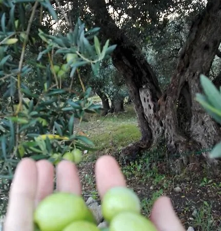 Le Di S. Andrea Buccheri