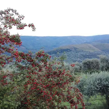 Le Di S. Andrea * Buccheri