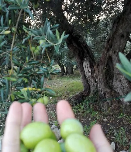Le Di S. Andrea Buccheri